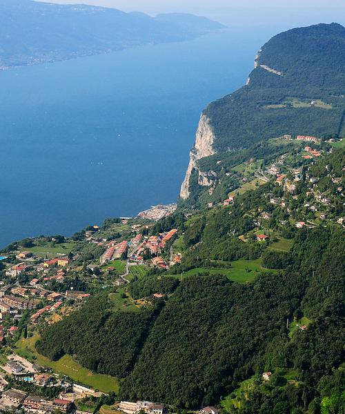 Tremosine