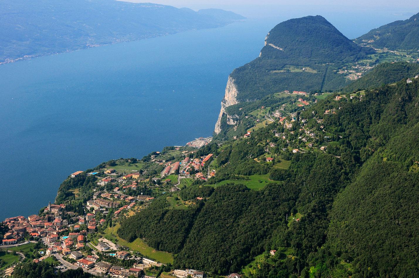 Tremosine