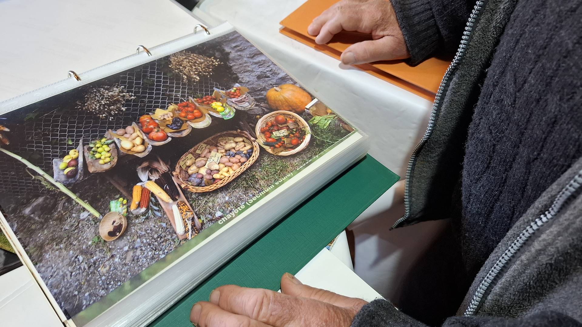 Sulle tracce di Tonino Guerra