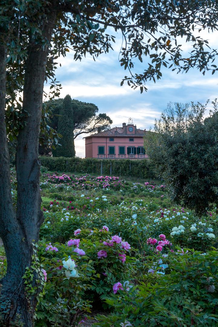 Il Giardino delle Peonie