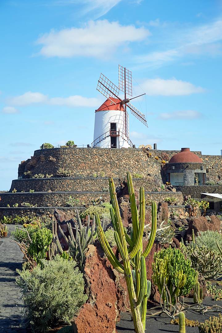 Jardin de Cactus