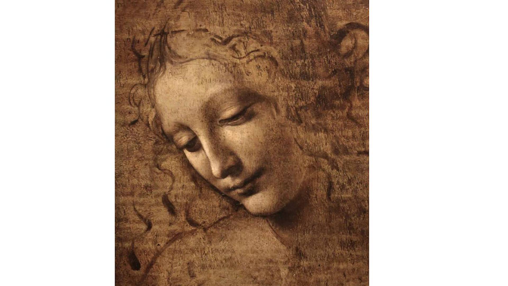 La Scapiliata di Leonardo da Vinci (1501-1508 circa)